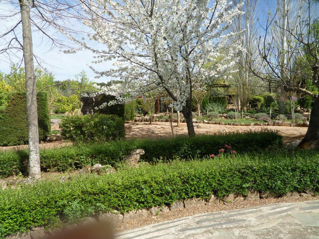 Monte Da Fornalha Bed and Breakfast Borba Buitenkant foto