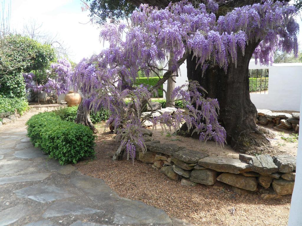 Monte Da Fornalha Bed and Breakfast Borba Buitenkant foto