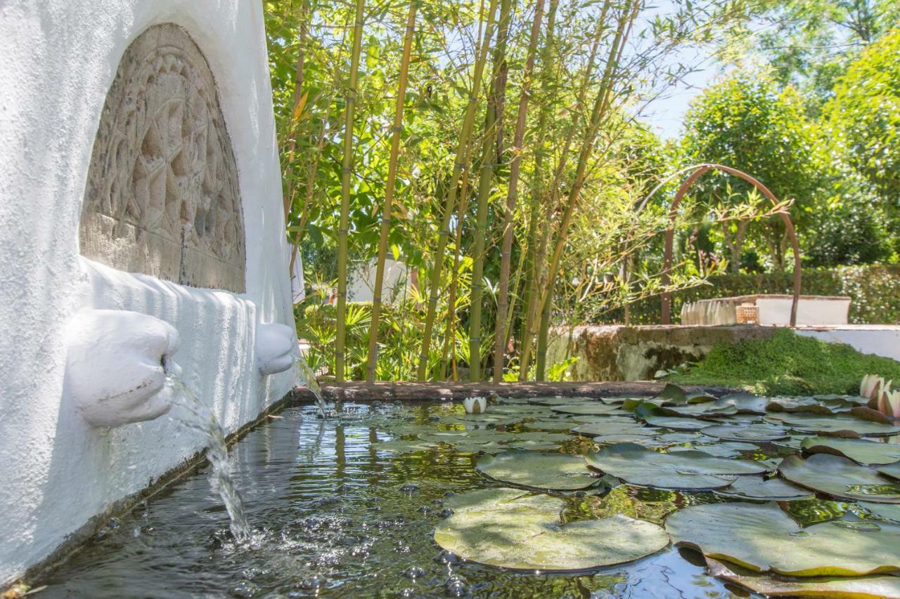 Monte Da Fornalha Bed and Breakfast Borba Buitenkant foto